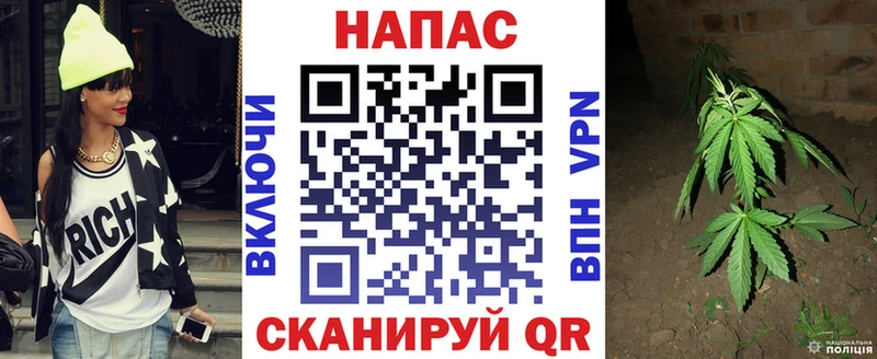 как найти наркотики  Талица  Шишки марихуана гибрид 